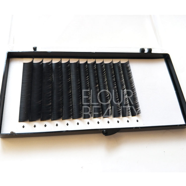 lashes exensions China manufacturer.jpg